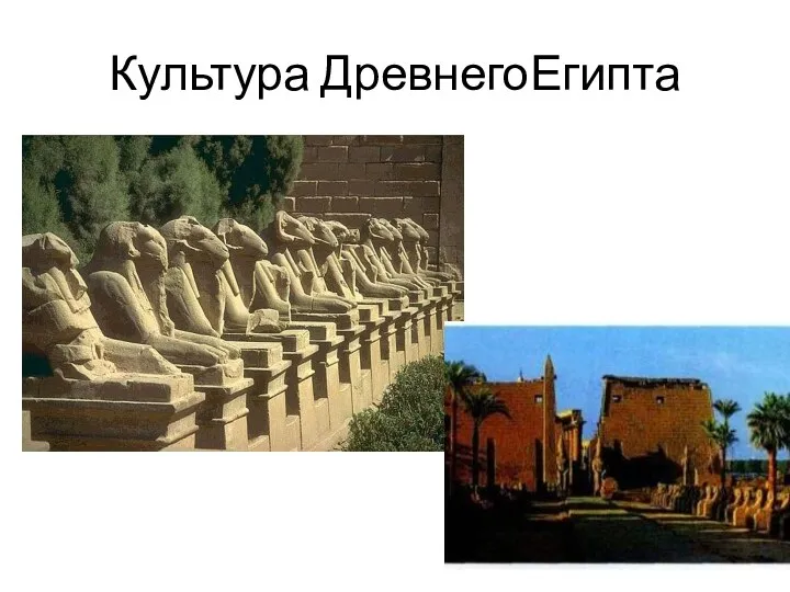 Культура ДревнегоЕгипта