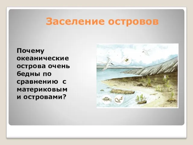 Заселение островов Почему океанические острова очень бедны по сравнению с материковыми островами?