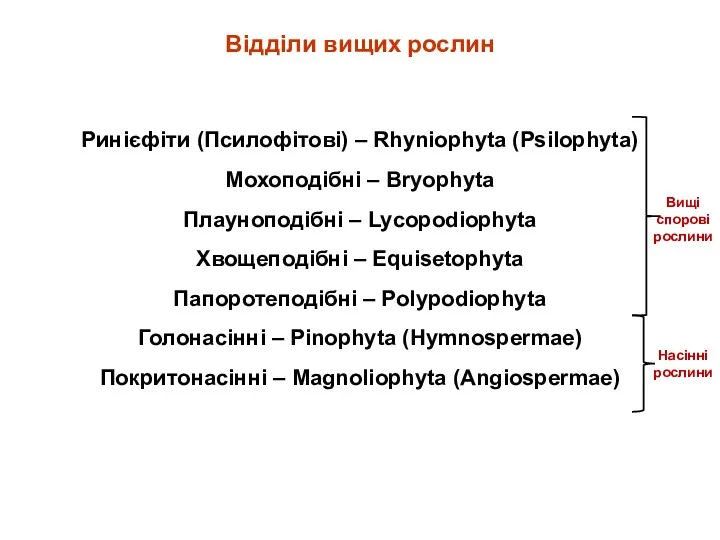 Відділи вищих рослин Ринієфіти (Псилофітові) – Rhyniophyta (Psilophyta) Мохоподібні –