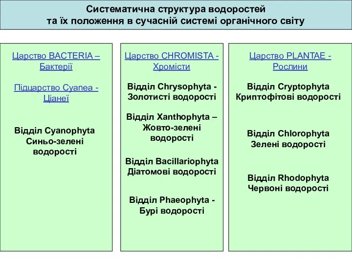 Систематична структура водоростей та їх положення в сучасній системі органічного