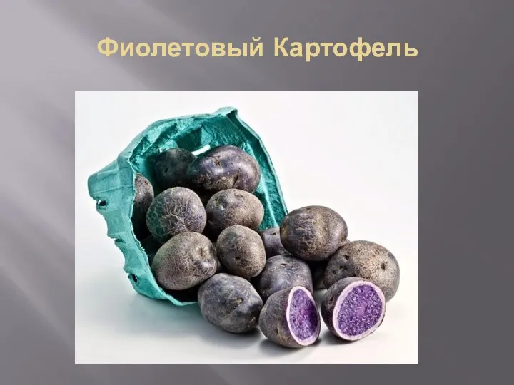 Фиолетовый Картофель