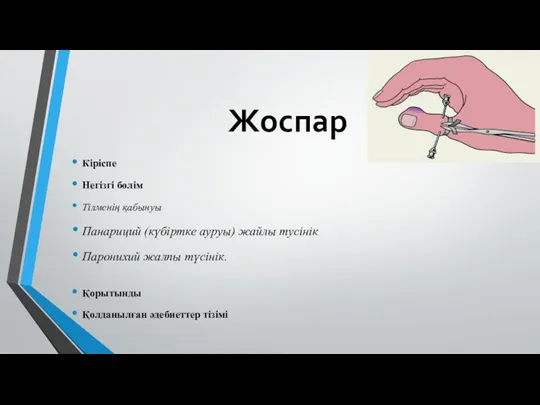 Жоспар Кіріспе Негізгі бөлім Тілменің қабынуы Панариций (күбіртке ауруы) жайлы