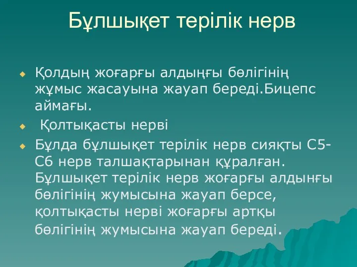 Бұлшықет терілік нерв Қолдың жоғарғы алдыңғы бөлігінің жұмыс жасауына жауап