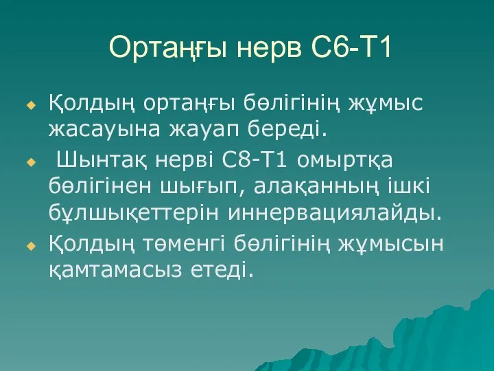 Ортаңғы нерв С6-Т1 Қолдың ортаңғы бөлігінің жұмыс жасауына жауап береді.