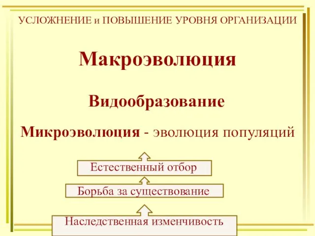 Наследственная изменчивость Борьба за существование Естественный отбор Микроэволюция - эволюция