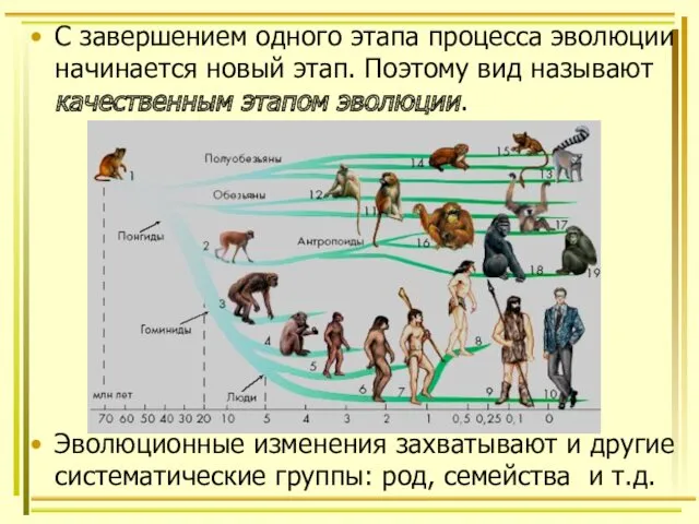 С завершением одного этапа процесса эволюции начинается новый этап. Поэтому