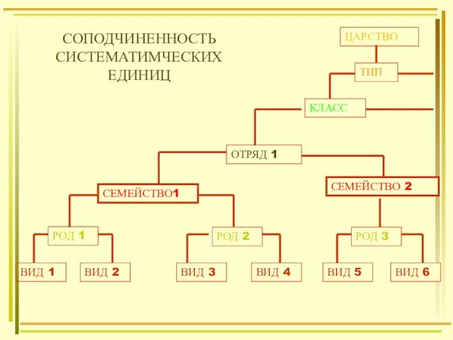 ВИД 1 ВИД 2 ВИД 3 ВИД 4 ВИД 5