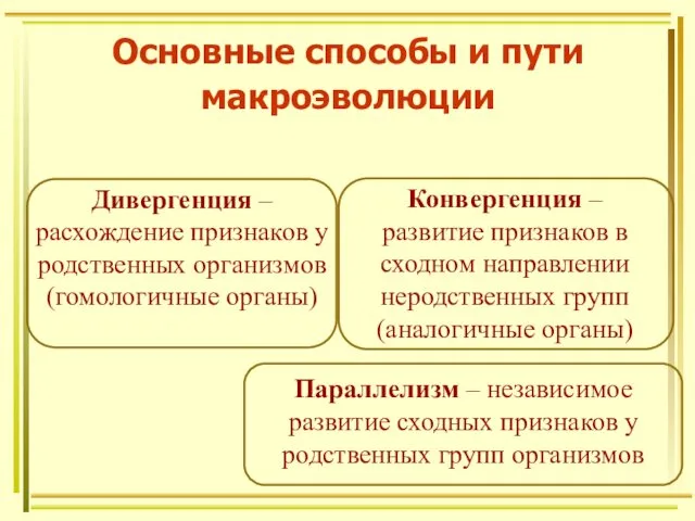 Основные способы и пути макроэволюции Дивергенция – расхождение признаков у