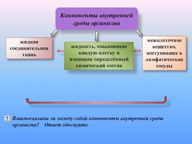 Компоненты внутренней среды организма Межклеточное вещество Кровь Лимфа Взаимосвязаны ли между собой компоненты