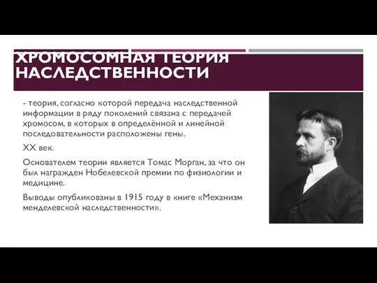 ХРОМОСОМНАЯ ТЕОРИЯ НАСЛЕДСТВЕННОСТИ - теория, согласно которой передача наследственной информации