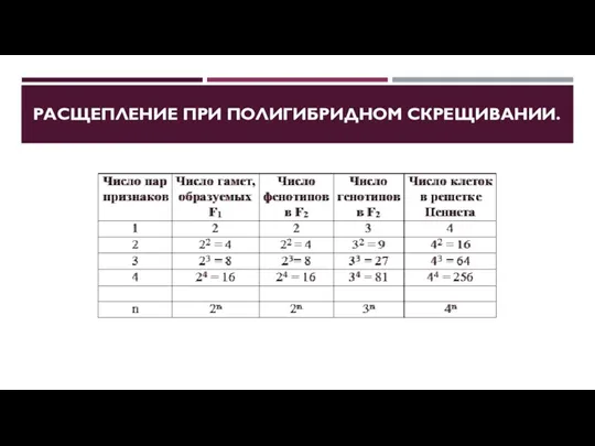 РАСЩЕПЛЕНИЕ ПРИ ПОЛИГИБРИДНОМ СКРЕЩИВАНИИ.