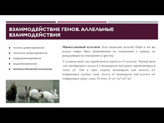 ВЗАИМОДЕЙСТВИЕ ГЕНОВ. АЛЛЕЛЬНЫЕ ВЗАИМОДЕЙСТВИЯ полное доминирование неполное доминирование сверхдоминирование кодоминирование