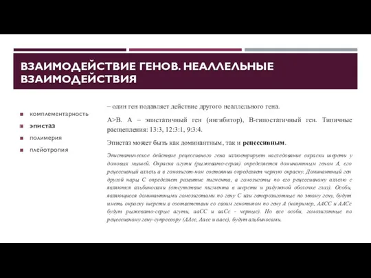 ВЗАИМОДЕЙСТВИЕ ГЕНОВ. НЕАЛЛЕЛЬНЫЕ ВЗАИМОДЕЙСТВИЯ комплементарность эпистаз полимерия плейотропия – один