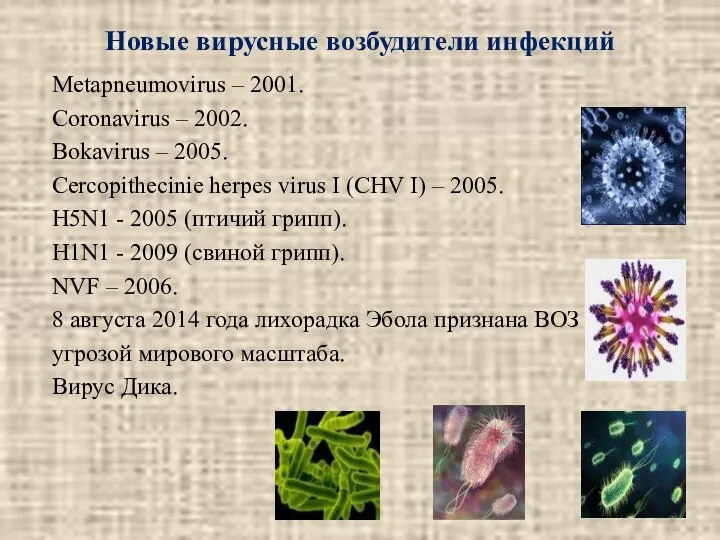 Новые вирусные возбудители инфекций Metapneumovirus – 2001. Coronavirus – 2002.