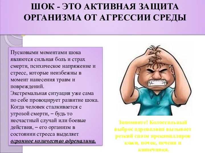 ШОК - ЭТО АКТИВНАЯ ЗАЩИТА ОРГАНИЗМА ОТ АГРЕССИИ СРЕДЫ Пусковыми