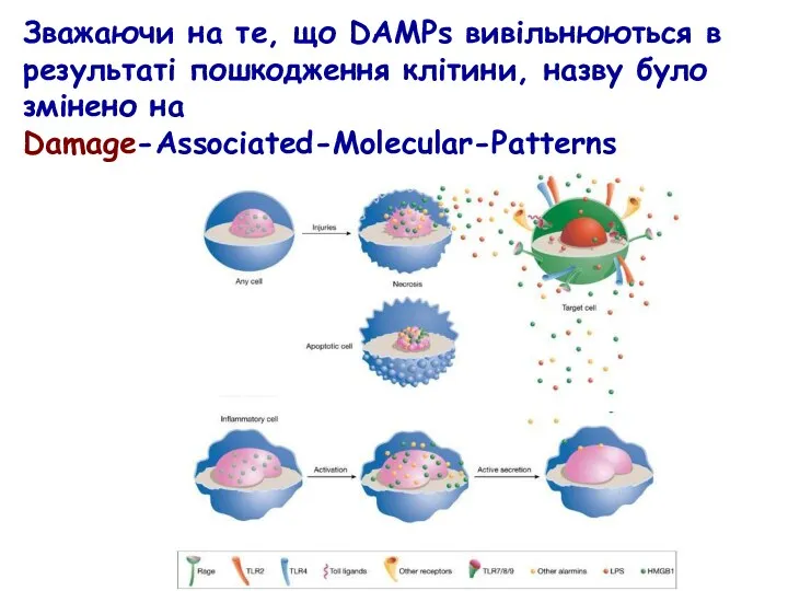 Зважаючи на те, що DAMPs вивільнюються в результаті пошкодження клітини, назву було змінено на Damage-Associated-Molecular-Patterns