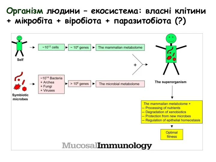 Організм людини – екосистема: власні клітини + мікробіта + віробіота + паразитобіота (?)