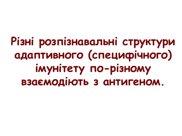 Різні розпізнавальні структури адаптивного (специфічного) імунітету по-різному взаємодіють з антигеном.