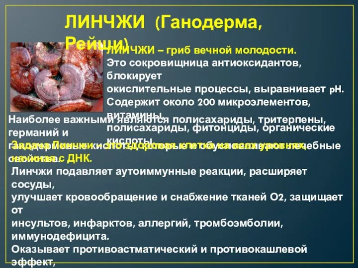 ЛИНЧЖИ (Ганодерма, Рейши) ЛИНЧЖИ – гриб вечной молодости. Это сокровищница