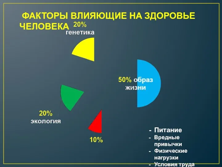 ФАКТОРЫ ВЛИЯЮЩИЕ НА ЗДОРОВЬЕ ЧЕЛОВЕКА Питание Вредные привычки Физические нагрузки Условия труда