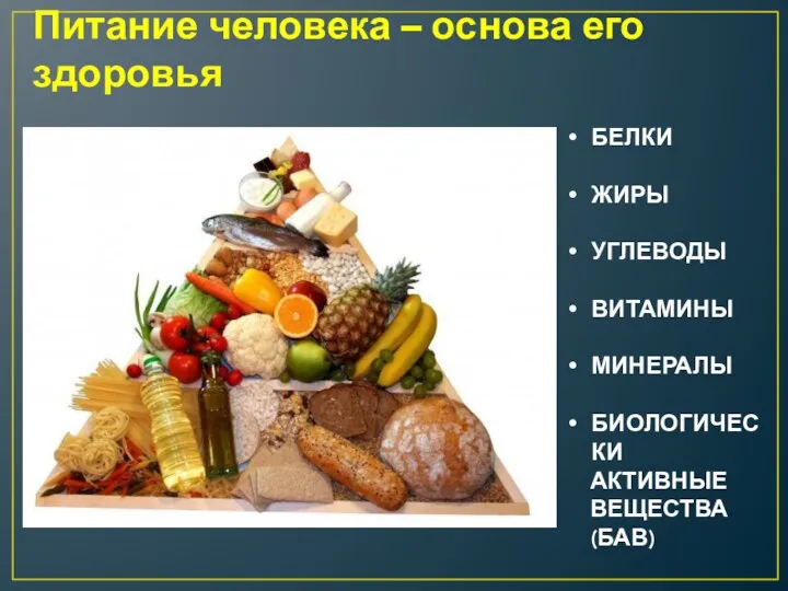 Питание человека – основа его здоровья БЕЛКИ ЖИРЫ УГЛЕВОДЫ ВИТАМИНЫ МИНЕРАЛЫ БИОЛОГИЧЕСКИ АКТИВНЫЕ ВЕЩЕСТВА (БАВ)