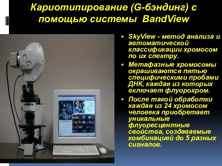 Кариотипирование (G-бэндинг) с помощью системы BandView SkyView - метод анализа