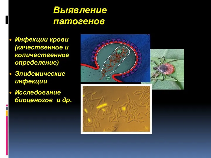 Выявление патогенов Инфекции крови (качественное и количественное определение) Эпидемические инфекции Исследование биоценозов и др.