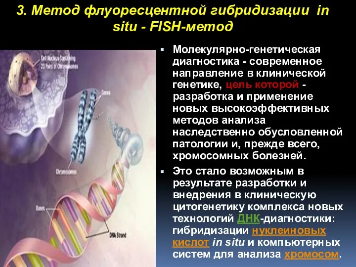 Молекулярно-генетическая диагностика - современное направление в клинической генетике, цель которой - разработка и