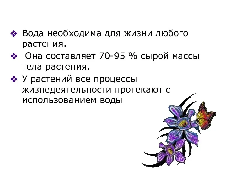 Вода необходима для жизни любого растения. Она составляет 70-95 %