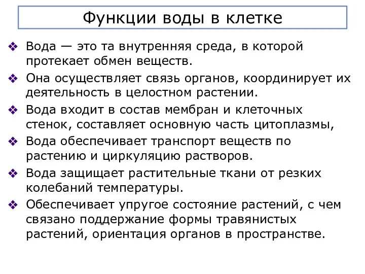 Функции воды в клетке Вода — это та внутренняя среда, в которой протекает