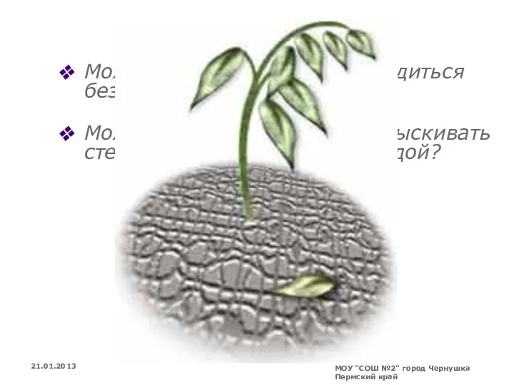 21.01.2013 МОУ "СОШ №2" город Чернушка Пермский край Может быть