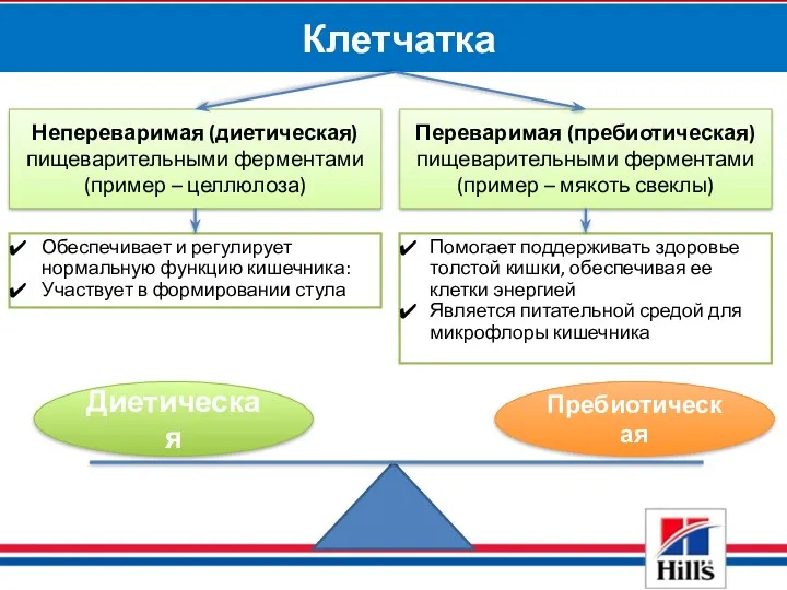 Клетчатка Непереваримая (диетическая) пищеварительными ферментами (пример – целлюлоза) Переваримая (пребиотическая)