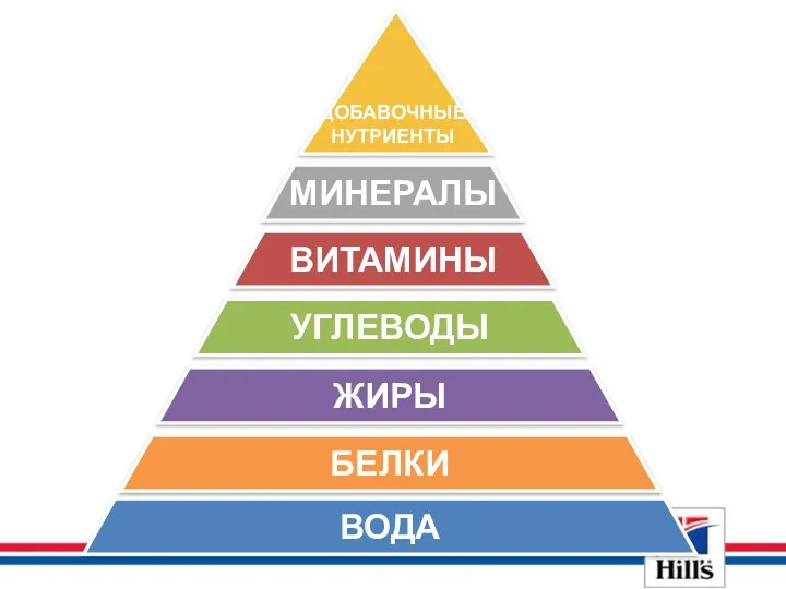 ВОДА БЕЛКИ ЖИРЫ УГЛЕВОДЫ ВИТАМИНЫ МИНЕРАЛЫ ДОБАВОЧНЫЕ НУТРИЕНТЫ