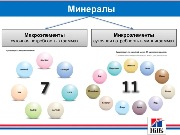 Минералы Макроэлементы суточная потребность в граммах Микроэлементы суточная потребность в миллиграммах