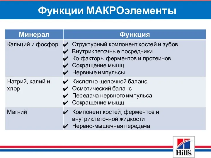 Функции МАКРОэлементы