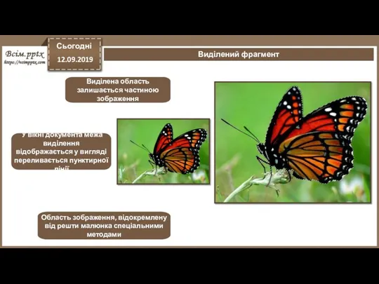 Сьогодні 12.09.2019 Виділений фрагмент Область зображення, відокремлену від решти малюнка