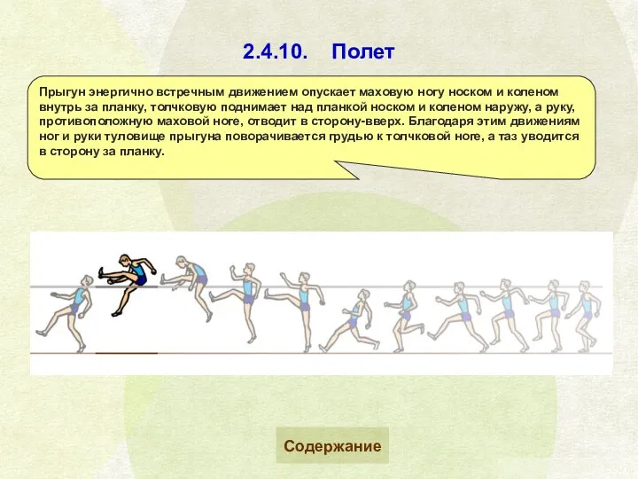 2.4.10. Полет Прыгун энергично встречным движением опускает маховую ногу носком