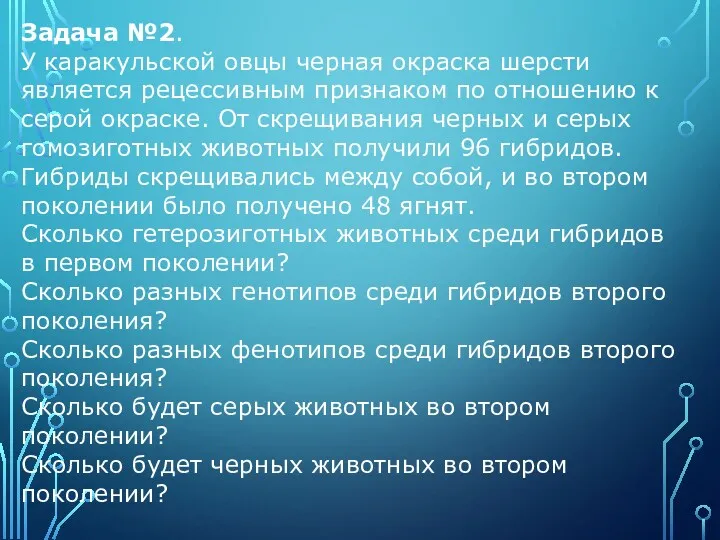 Задача №2. У каракульской овцы черная окраска шерсти является рецессивным