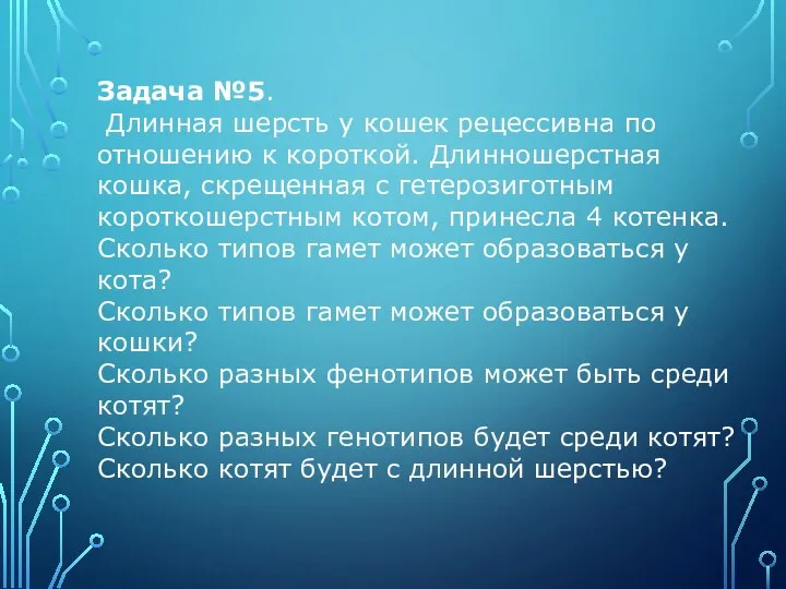 Задача №5. Длинная шерсть у кошек рецессивна по отношению к