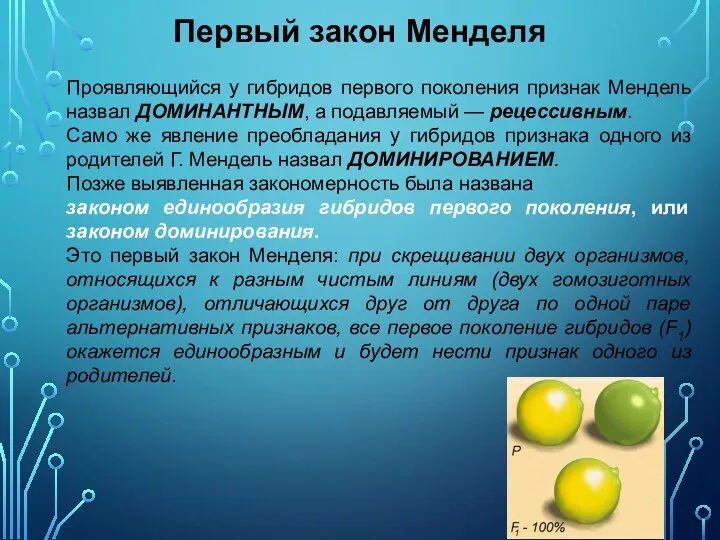 Первый закон Менделя Проявляющийся у гибридов первого поколения признак Мендель