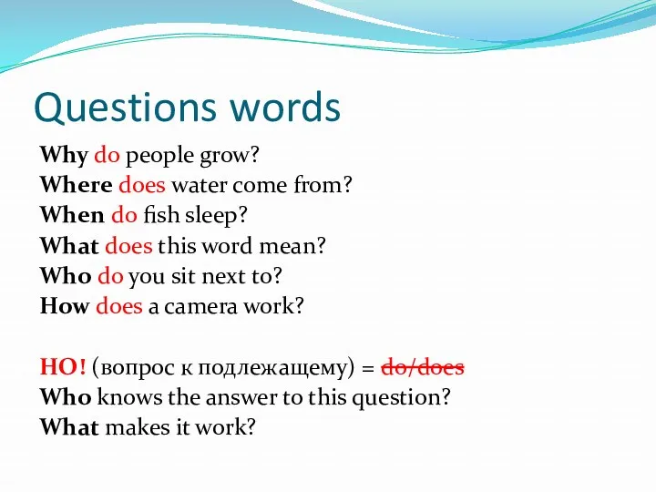 Questions words Why do people grow? Where does water come