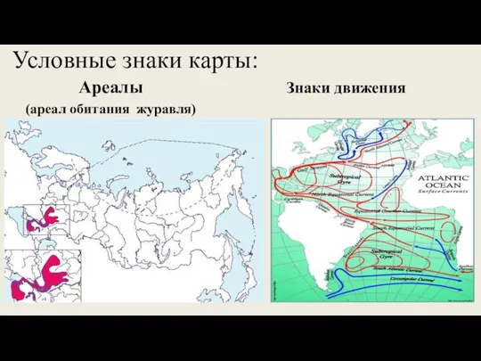 Условные знаки карты: Ареалы (ареал обитания журавля) Знаки движения