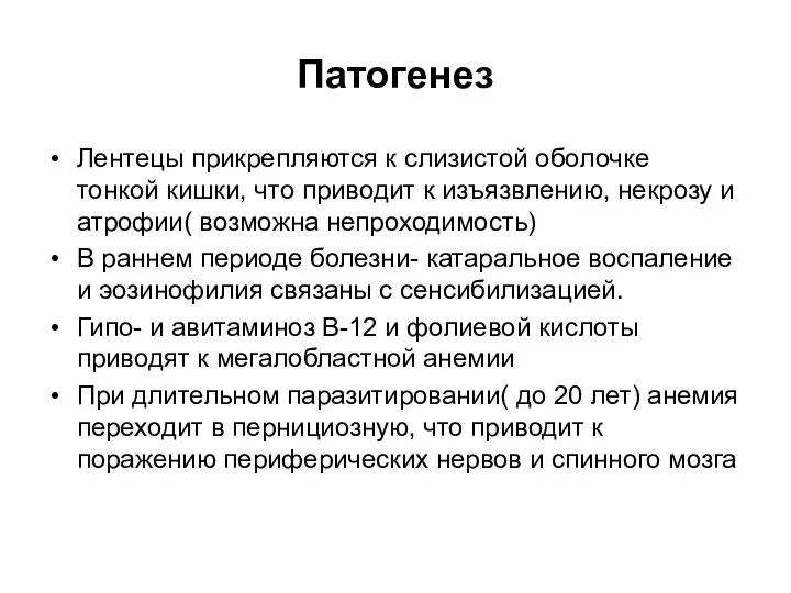 Патогенез Лентецы прикрепляются к слизистой оболочке тонкой кишки, что приводит