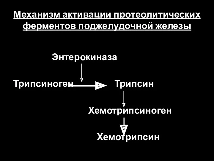 Механизм активации протеолитических ферментов поджелудочной железы Энтерокиназа Трипсиноген Трипсин Хемотрипсиноген Хемотрипсин