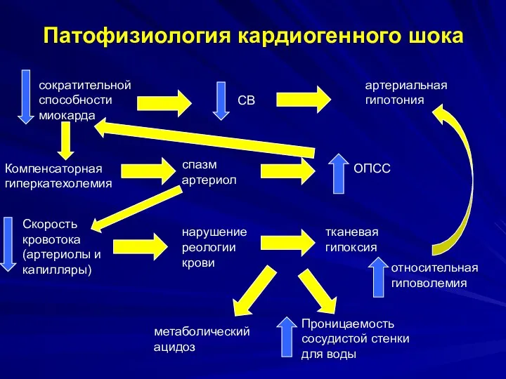 Патофизиология кардиогенного шока сократительной способности миокарда СВ артериальная гипотония Компенсаторная