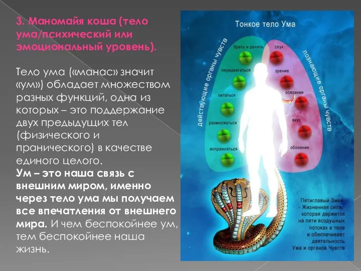 3. Маномайя коша (тело ума/психический или эмоциональный уровень). Тело ума