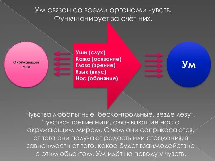 Ум связан со всеми органами чувств. Функчионирует за счёт них.