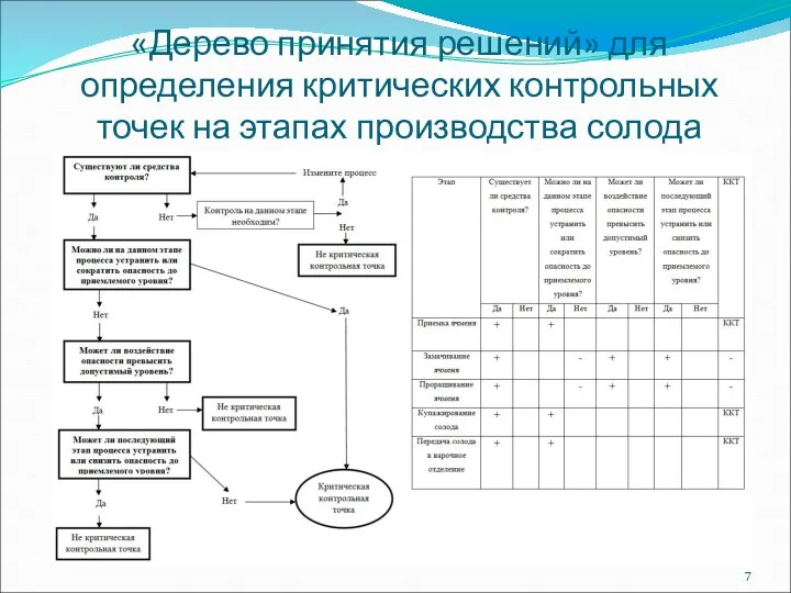 «Дерево принятия решений» для определения критических контрольных точек на этапах производства солода