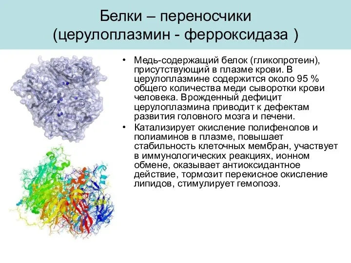 Белки – переносчики (церулоплазмин - ферроксидаза ) Медь-содержащий белок (гликопротеин),