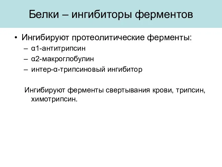 Белки – ингибиторы ферментов Ингибируют протеолитические ферменты: α1-антитрипсин α2-макроглобулин интер-α-трипсиновый